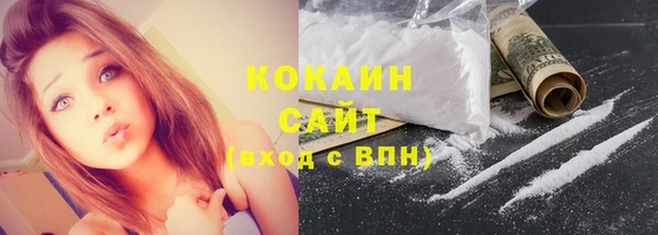 ПСИЛОЦИБИНОВЫЕ ГРИБЫ Богданович
