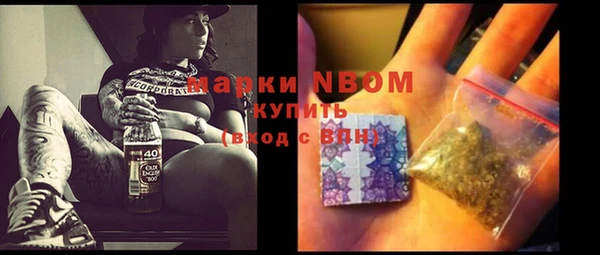 ПСИЛОЦИБИНОВЫЕ ГРИБЫ Богданович