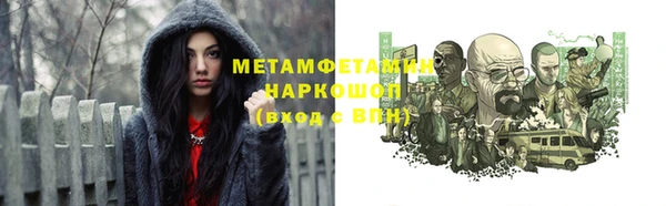 ПСИЛОЦИБИНОВЫЕ ГРИБЫ Богданович