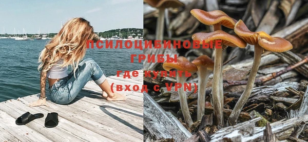 бутик Бородино