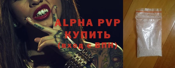 ПСИЛОЦИБИНОВЫЕ ГРИБЫ Богданович
