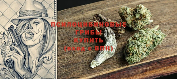 спайс Богородск