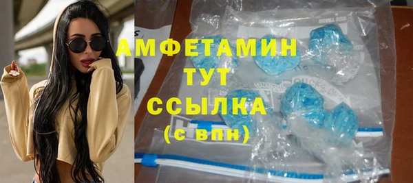 ПСИЛОЦИБИНОВЫЕ ГРИБЫ Богданович