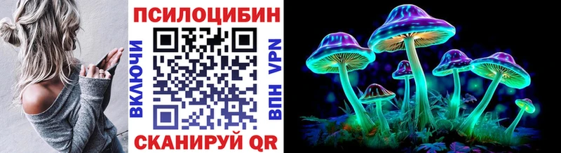 Псилоцибиновые грибы Psilocybe  Павлово 
